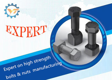 210G Track Bolts And Nuts Grade 10.9 19M8002 With High Hardness
